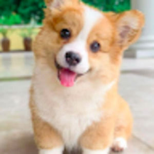 Meet your Posher, Adina